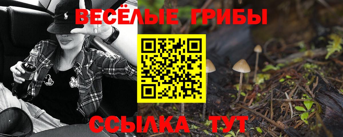 Псилоцибиновые грибы Cubensis Прокопьевск