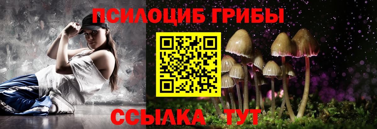 Прокопьевск  Псилоцибиновые грибы Psilocybine cubensis  Вход с VPN 